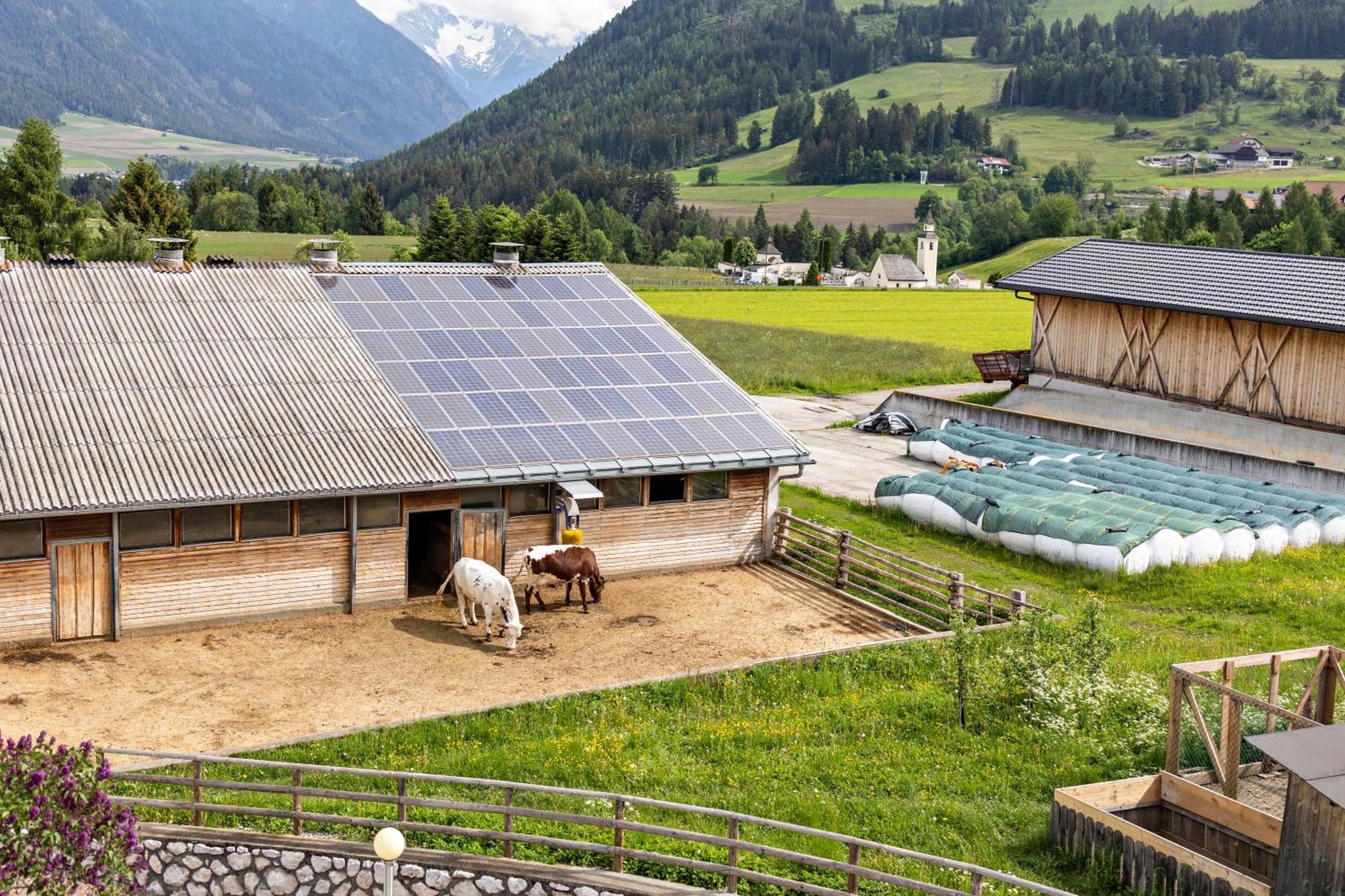Oberhoelzlhof Valdaora di Sopra Luaran gambar